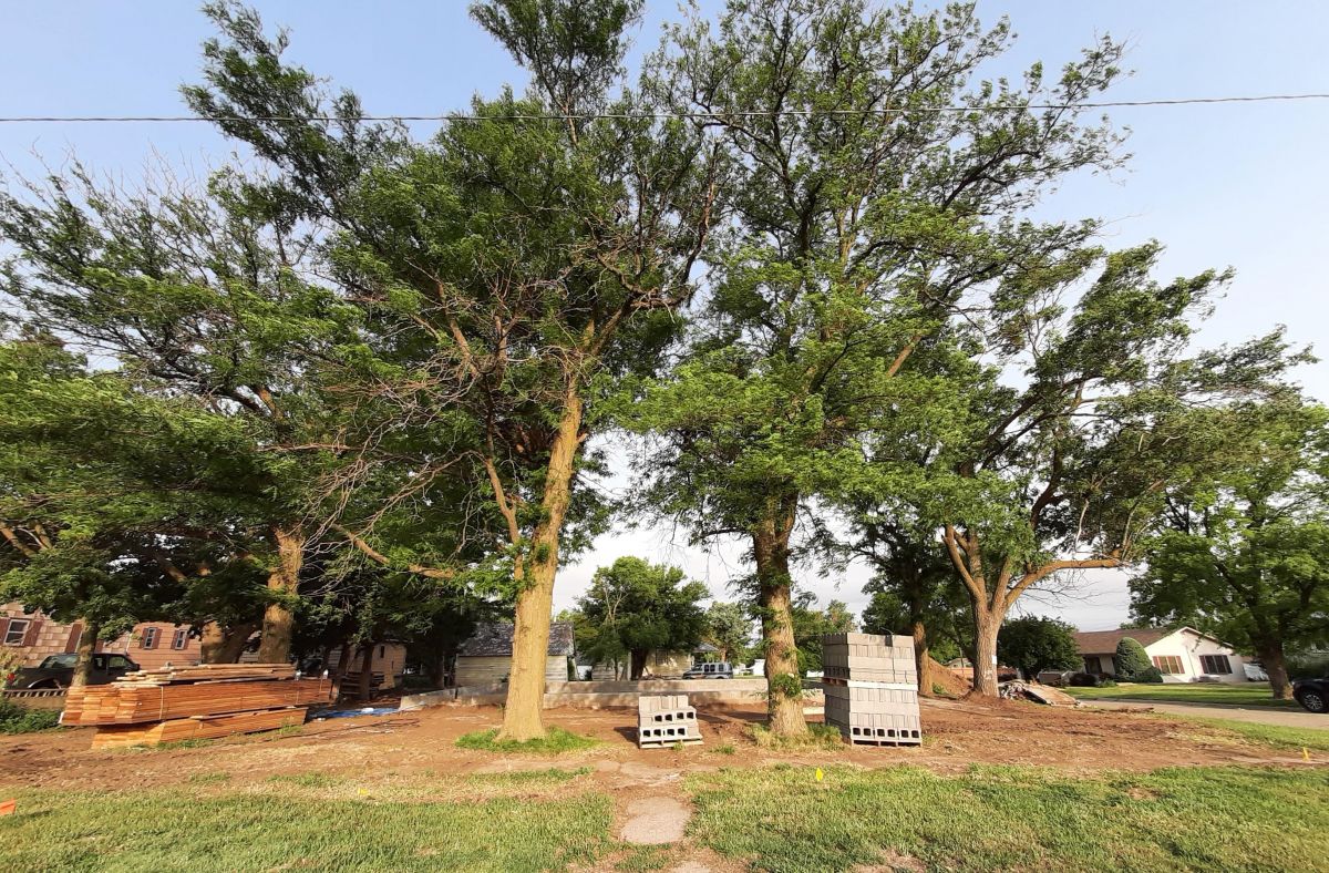 Empty residential lot